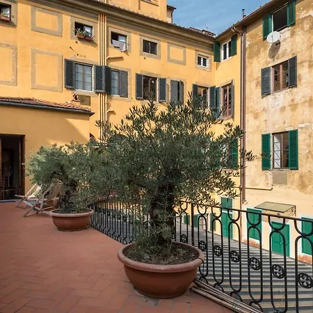 The Terrace In *
